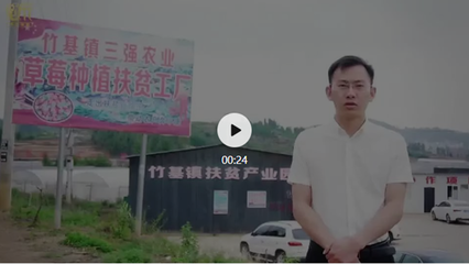全民電商助力,人人消費助農