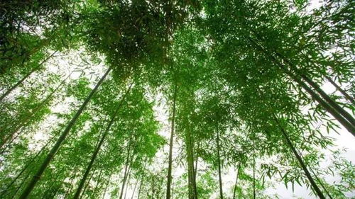 杭州這20個(gè)地方好吃又好玩,你最喜歡哪里