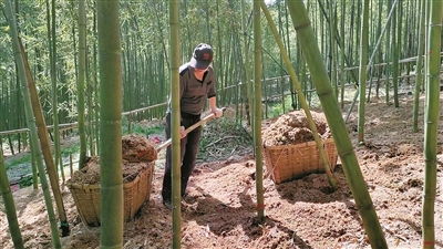 寧波日?qǐng)?bào)社數(shù)字報(bào)刊平臺(tái)