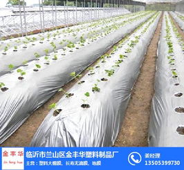 種植地膜價(jià)格 種植地膜 金豐華塑料制品廠