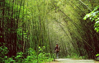 端午節(jié) 帶著家人一起感受網(wǎng)紅打卡地洛陽神靈寨的魅力吧