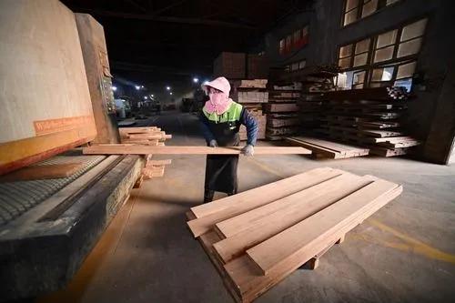 新華社 福建三明 改革護綠色 林業富鄉農